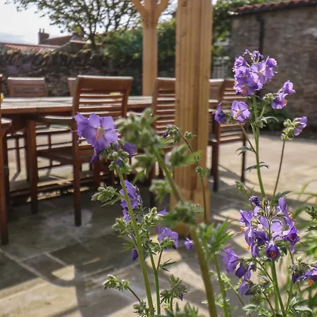 Bute Holiday home Pickering